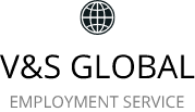 V&S Global logo