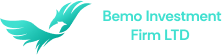Bemo Investment Firm LTD logo