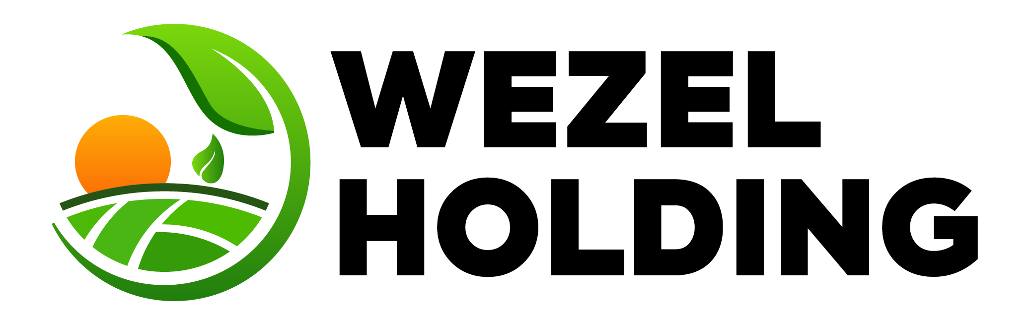 Wezel Holding logo
