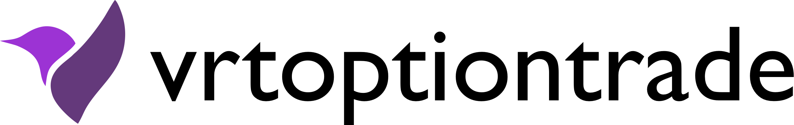 Vrt Option Trade Ltd logo