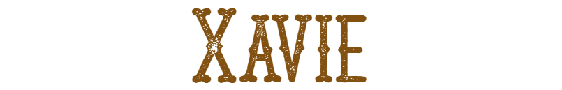Xavie logo