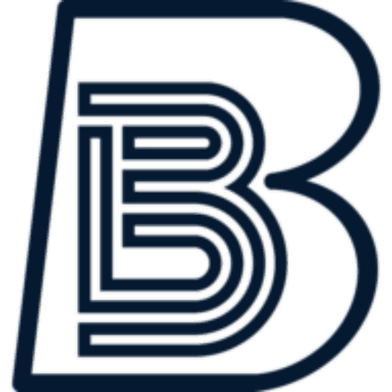 BearmountainInvest logo