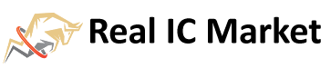 Real IC Market logo