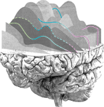 Right Investment logo