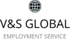 V&S Global logotype