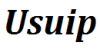 Usuip logotype