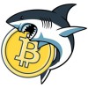 Shark in Crypto logotype