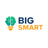 BigSmart logotype