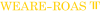 ROAS logotype