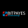 Bitpayes logo