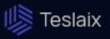 Teslaix logo