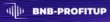 BNB Profitup logo