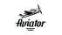 Winmoneyaviator logo
