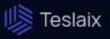 Teslaix logo