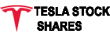 Tesla Stock Shares logo