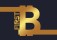 First Bitcoin logo