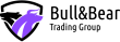 Bull&Bear Trading Group logo