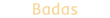 Badas logo
