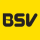 BSV Recruitment logo