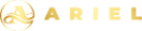 Ariel System (arielsystem.ltd)