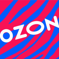 Wyndozon logo