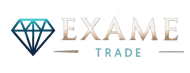 Exame Group logo