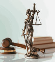 Закон и Право logo