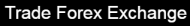 TradeForexExchange logo