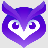 Owlur logo