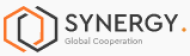 Synergy Group logo