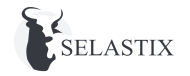 Selastix logo