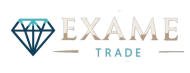 Exame Group logo