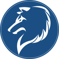Big Wolf Academy logo