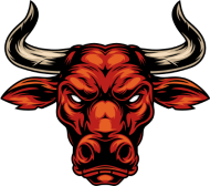 Bulls Wallet logo