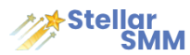 StellarSmm logo