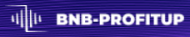 BNB Profitup logo