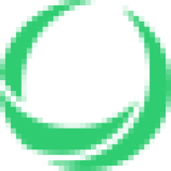 Case Pro Invest logo