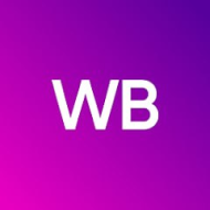 WBShoptions logo