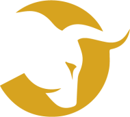 NexfordCapital logo