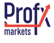 Pro FX Markets logo