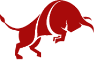 Bull Investments logo