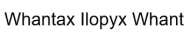 Whantax Ilopyx Whant logo