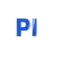 Playerok4 logo