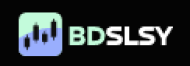 Bdslsy logo
