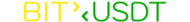 Bit Usdt logo