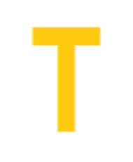 T Investment logo