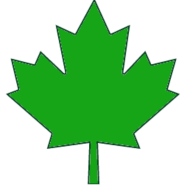 Dominion Trust Capital logo