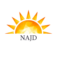 NajdFX logo
