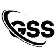 Global Solution Strategies logo