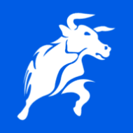 Black Bull Markets logo